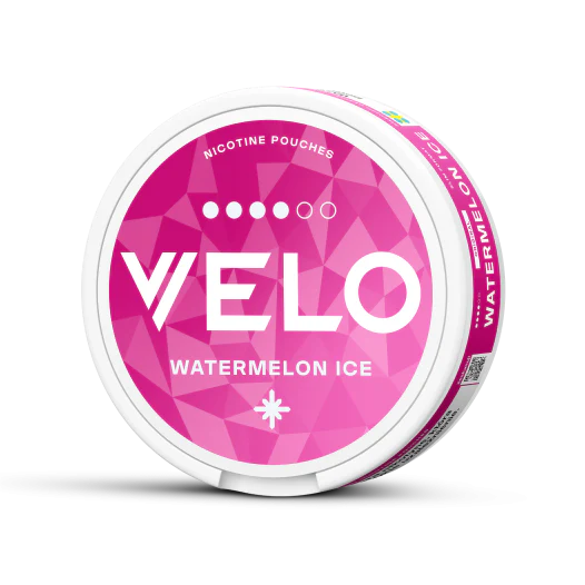 VELO Wintry Watermelon - Image 4